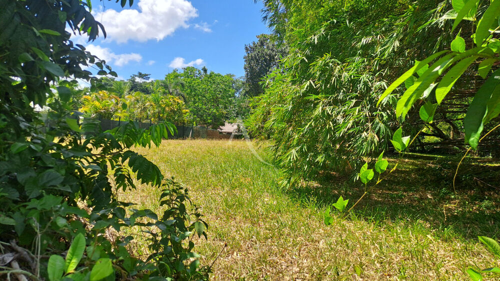 Vente Terrain Terrain  4019 m2 quartier La Chaumière - MATOURY Matoury