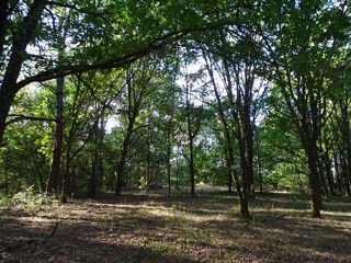  Terrain à vendre 5000 m²