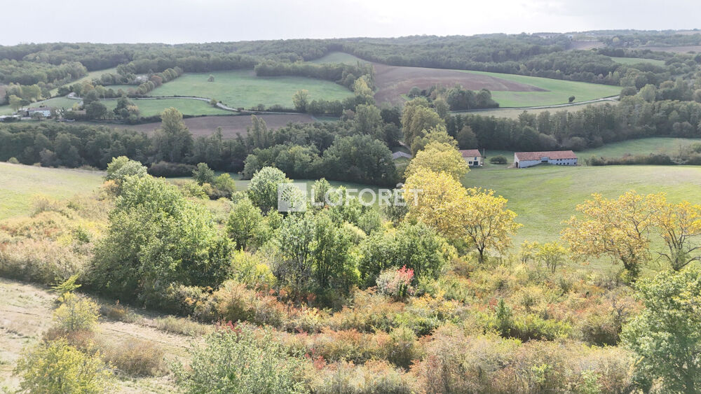 Propriété de 116 hectares !!! 20 minutes Est de Montauban