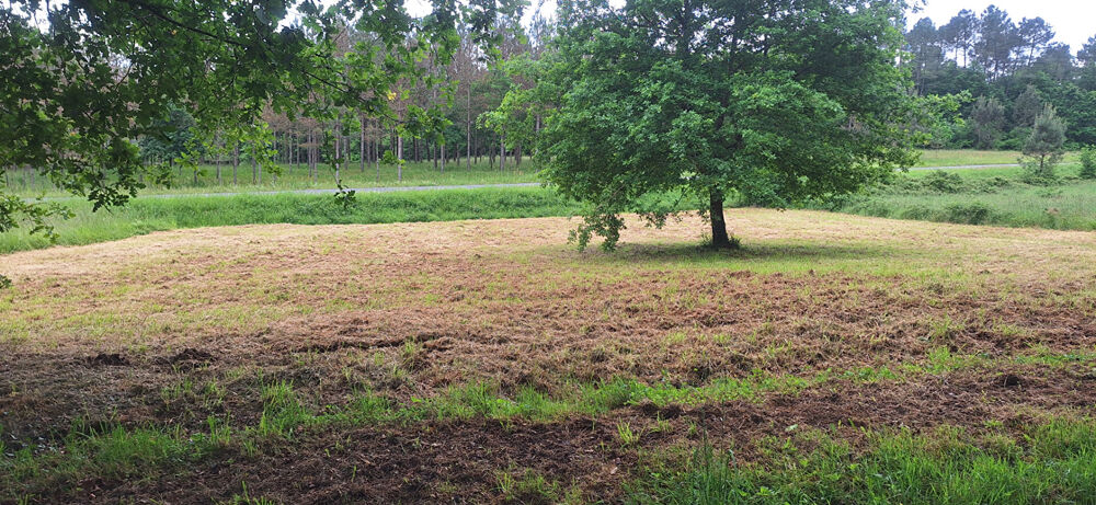 Vente Terrain Terrain Beauronne 1219 m2 Beauronne