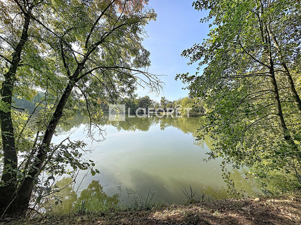 Vente Terrain ÉTANG - GRAVIÈRE Viriat 20000m2 Viriat