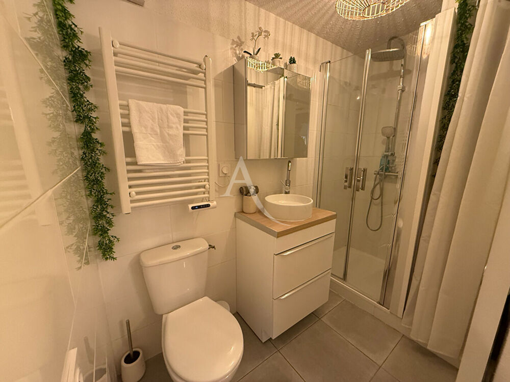 Vente Immeuble Immeuble Carcassonne avec tr�s belle activit�e  saisonni�re  aux pieds de la cit� m�di�vale de la cit� de Carcassonne Carcassonne