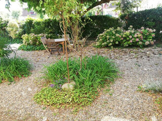  Maison � vendre 10 pi�ces 300 m�