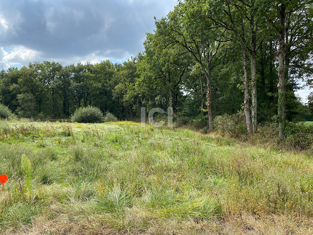Vente Terrain Terrain à bâtir - PONT SAINT MARTIN - 976 m² Pont st martin