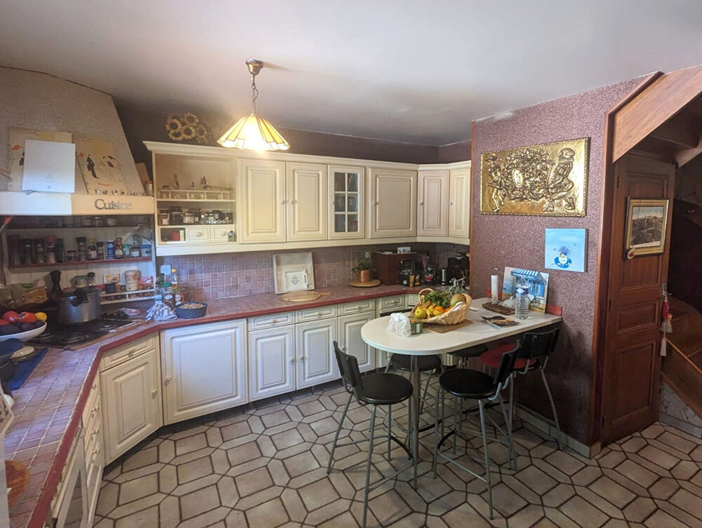Maison avec grand terrain