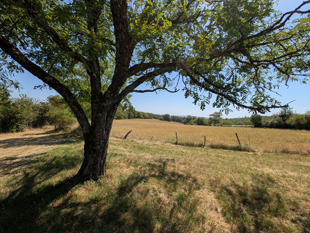 Vente Maison Vues spectaculaires! 3ha Saint antonin noble val