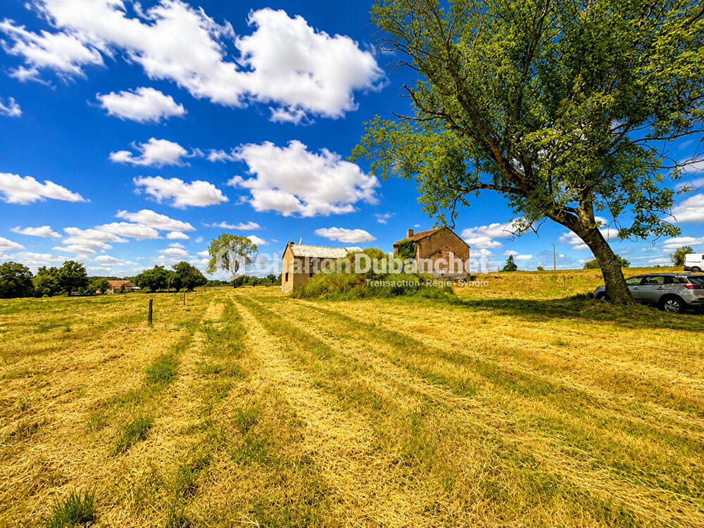 Vente Terrain Terrain de 4576 m²  avec deux bâtiments en ruine à MONTAIGUET EN FOREZ Montaiguet en forez