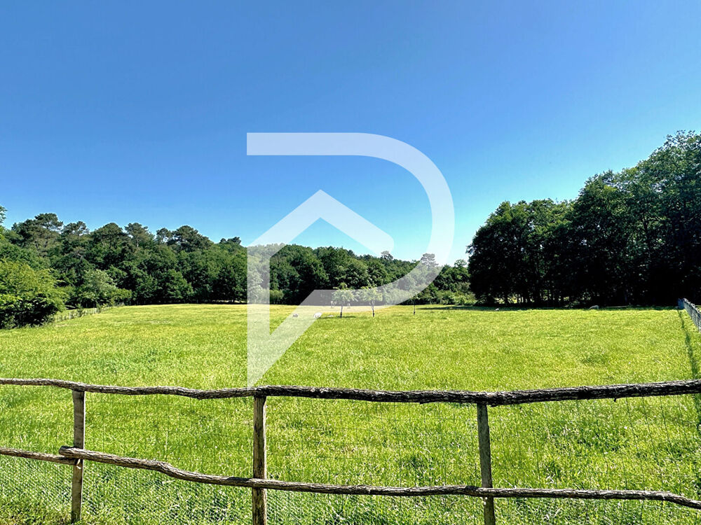 Propriété rare de 2 maisons avec 6 hectares, grange étang et puits