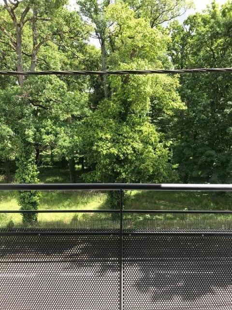  Appartement � louer 1 pi�ce 23 m�