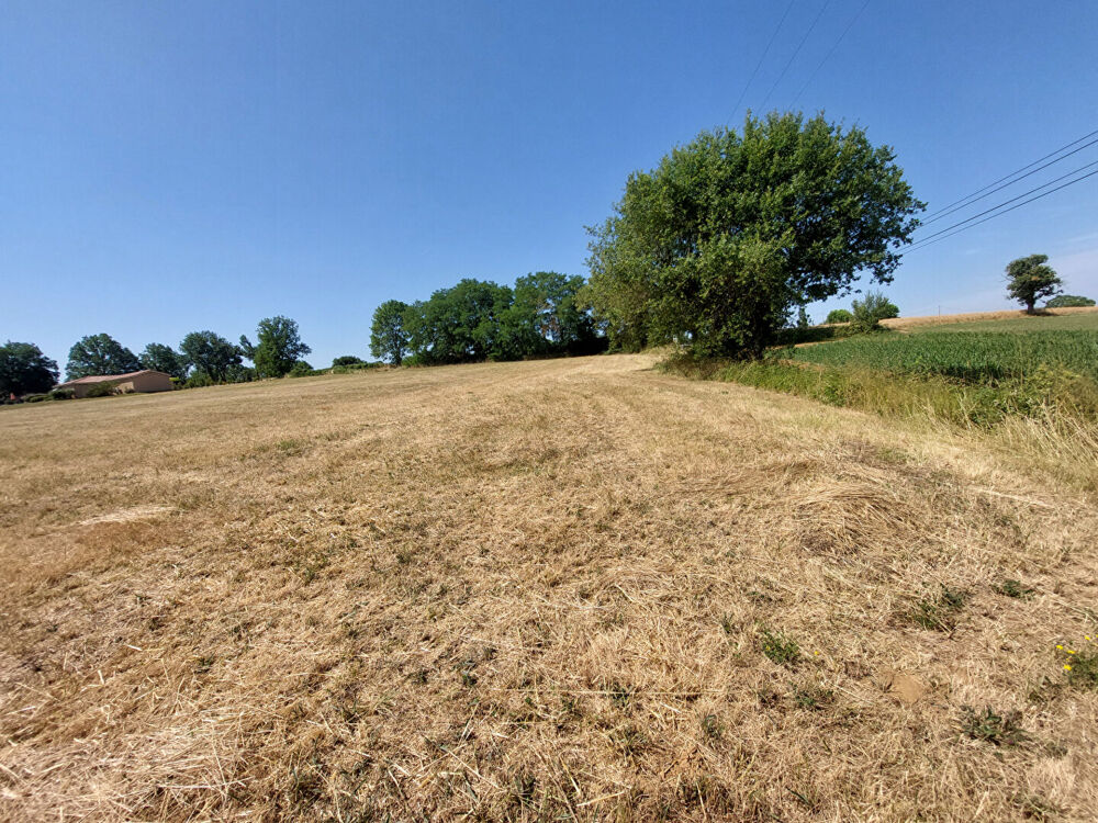Vente Terrain Terrain constructible Parisot 2672 m2 Parisot