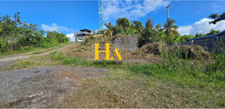  Terrain à vendre 450 m²