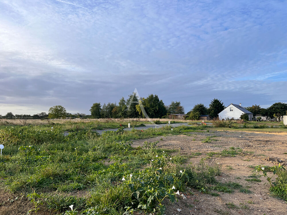 Vente Terrain A VENDRE Terrain à La Ménitré- 473m² La menitre