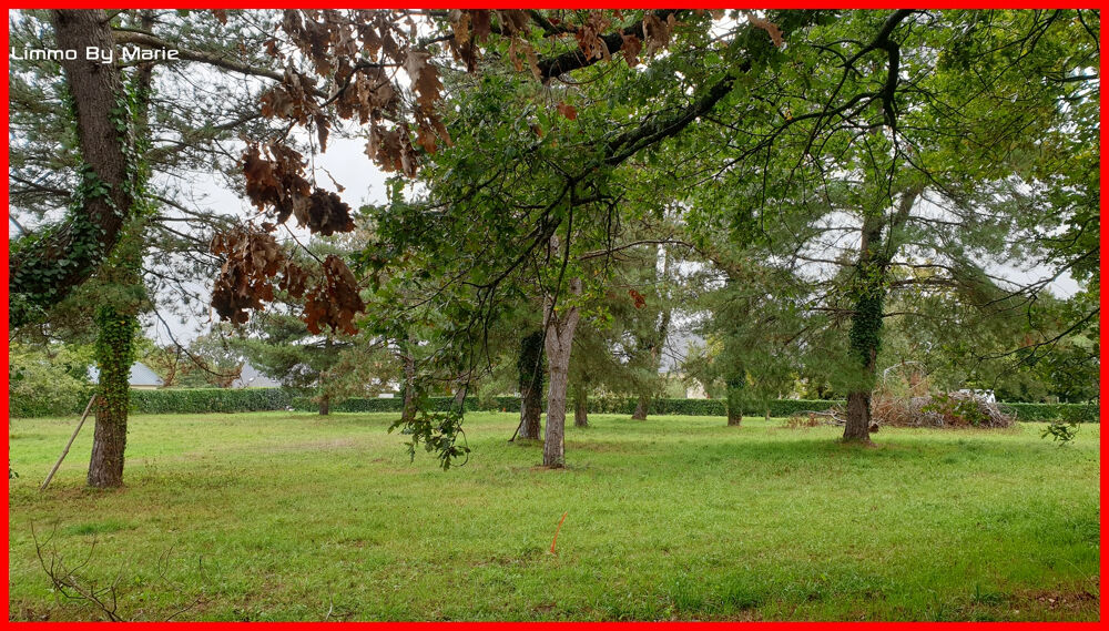 Vente Terrain Terrain Guemene Penfao 1840 m2 Guemene penfao