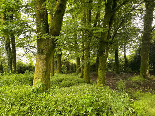  Terrain � vendre 3643 m�