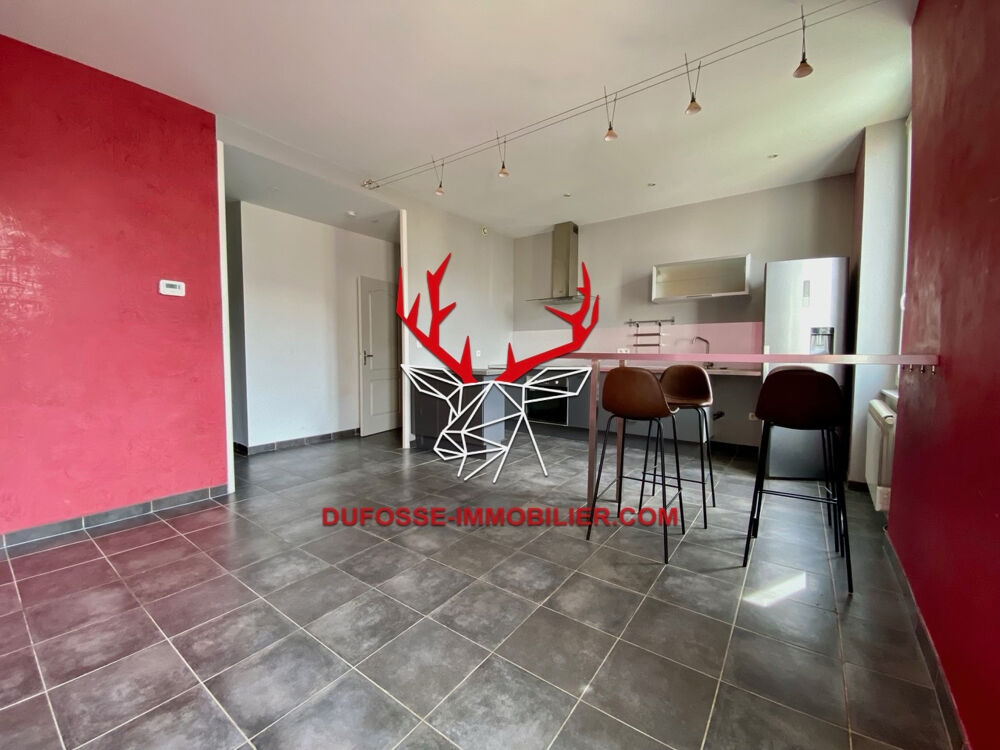 Vente Appartement Appartement Lyon 7e sud T2 49 m2 Lyon 7