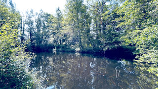  Maison � vendre 6 pi�ces 138 m�