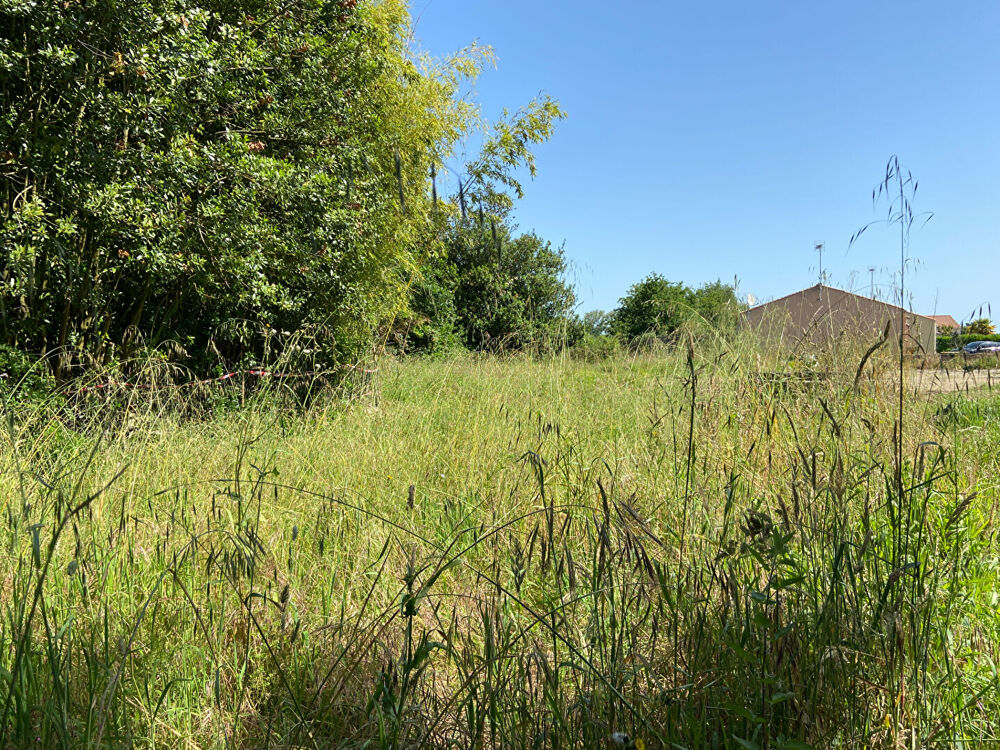 Vente Terrain Terrain viabilisé d'environ 809 m2 Notre dame de riez