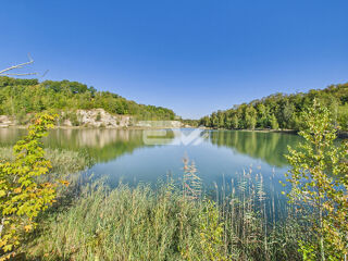  Villa � vendre 15 + pi�ces 1050 m�