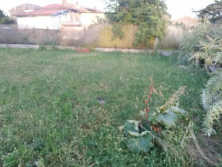  Immeuble � vendre 1 pi�ce 60 m�