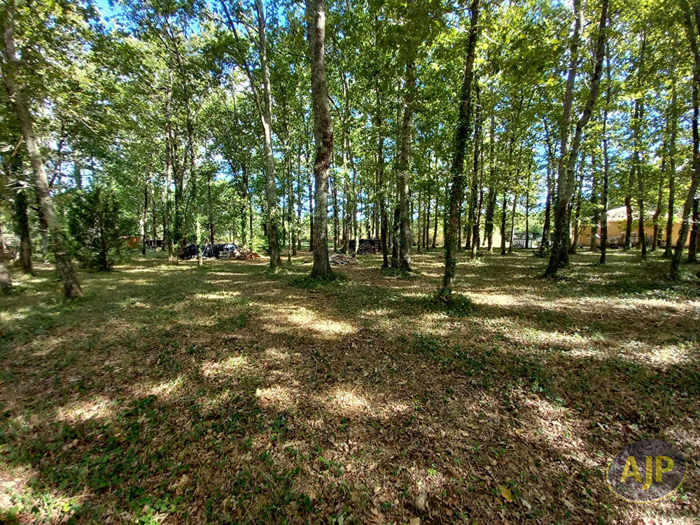 Vente Terrain Terrain à bâtir de 933 m² à 5 min de Lesparre ! Gaillan en medoc