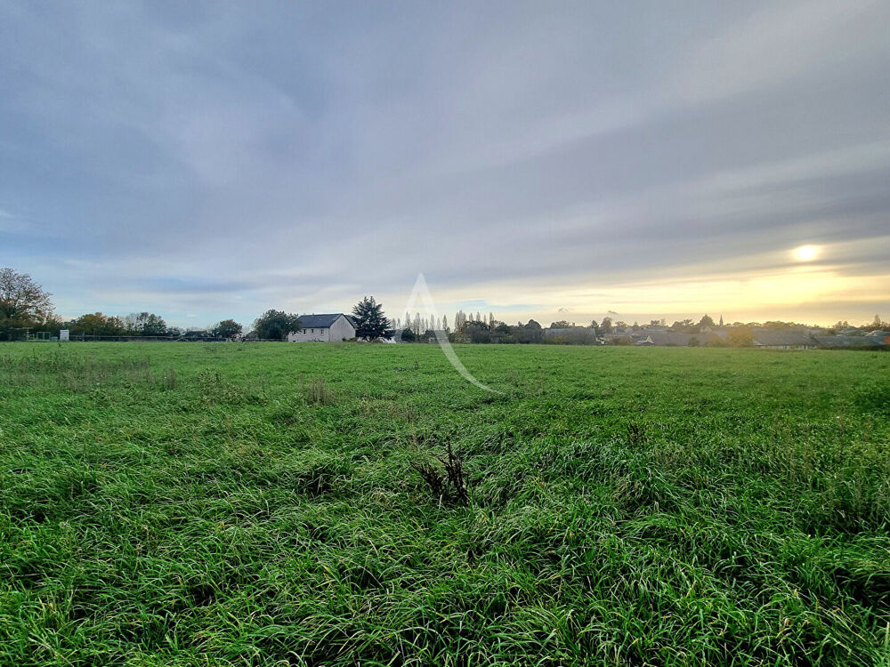 Vente Terrain Terrain Mire 13437 m2 Mire