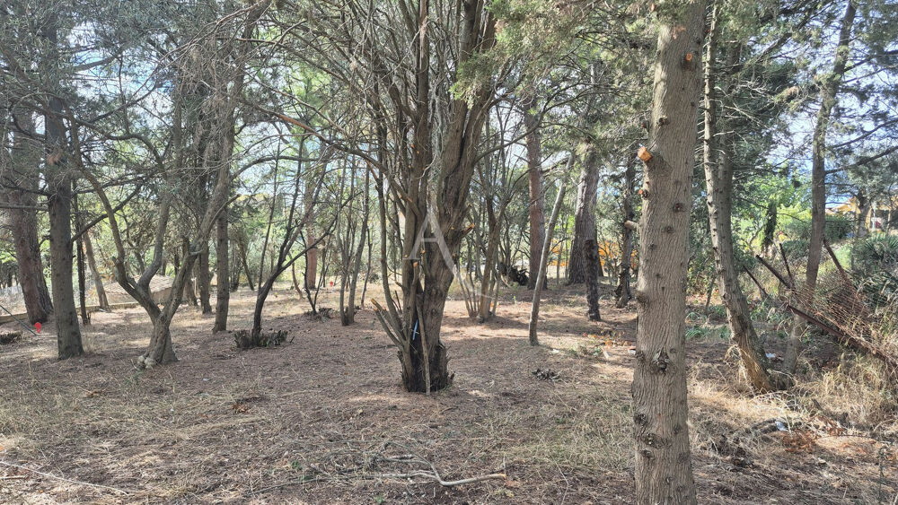 Vente Terrain Terrain Ouveillan 842 m2 arboré et vue agréable Ouveillan