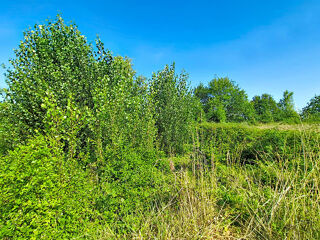  Terrain à vendre 305 m²