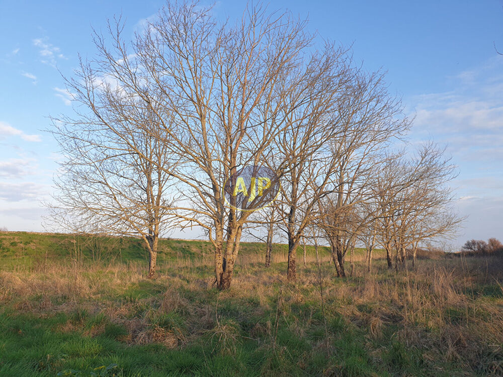 Vente Terrain Terrain de loisirs Jau Dignac Et Loirac Jau dignac et loirac