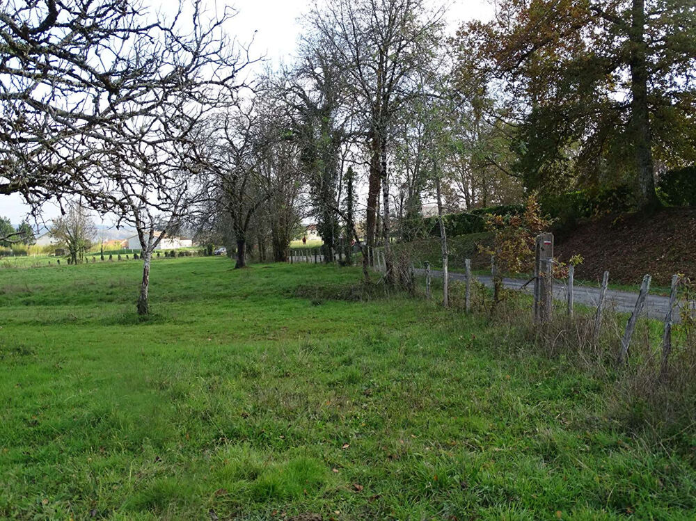 Vente Terrain Terrain Douzillac 3972 m2 Douzillac
