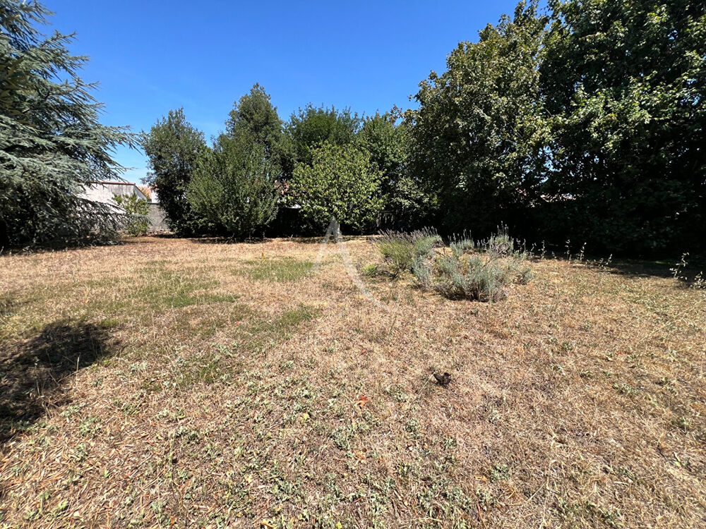 Vente Terrain Terrain Longeville Sur Mer 555 m2 Longeville sur mer