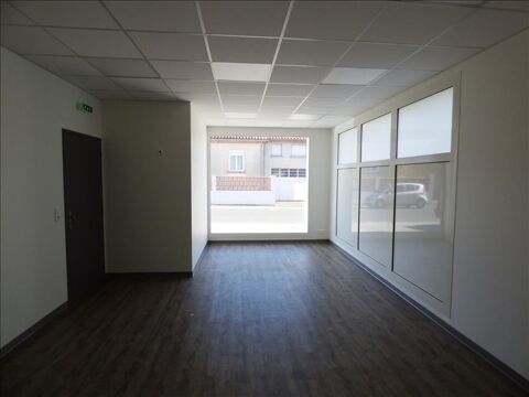  LOCAUX PROFESSIONNELS PONT DE LARN - 0 m2 