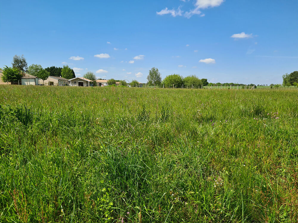 Vente Terrain Terrain Montpon Menesterol 1582 m2 Montpon menesterol