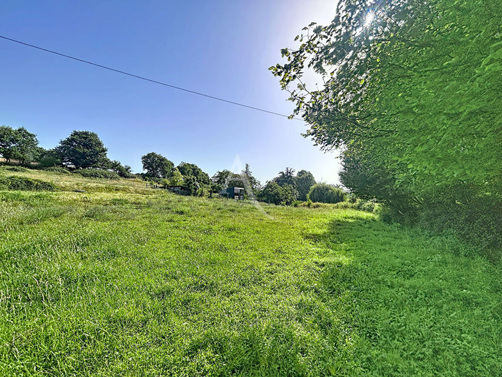 Vente Terrain Terrain Loigne Sur Mayenne 23946 m2 La roche neuville