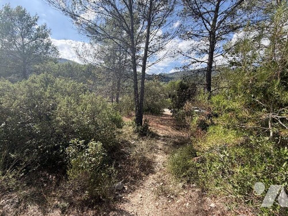 Vente Terrain VENTE NOTARIALE INTERACTIVE - CH DES RIGAOUS - 83210 SOLLIES-TOUCAS (VAR) - TERRAIN A BATIR 2946 M2 Solliès-toucas