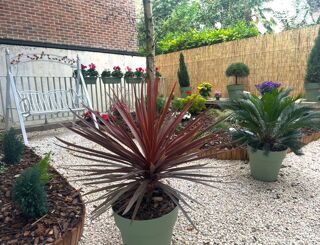  Appartement � vendre 2 pi�ces 85 m�