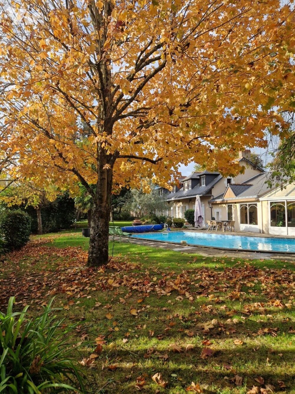 Vente Maison SAINT SYLVAIN D'ANJOU ENSEMBLE IMMOBILIER AVEC FORT POTENTIEL Verrières-en-anjou