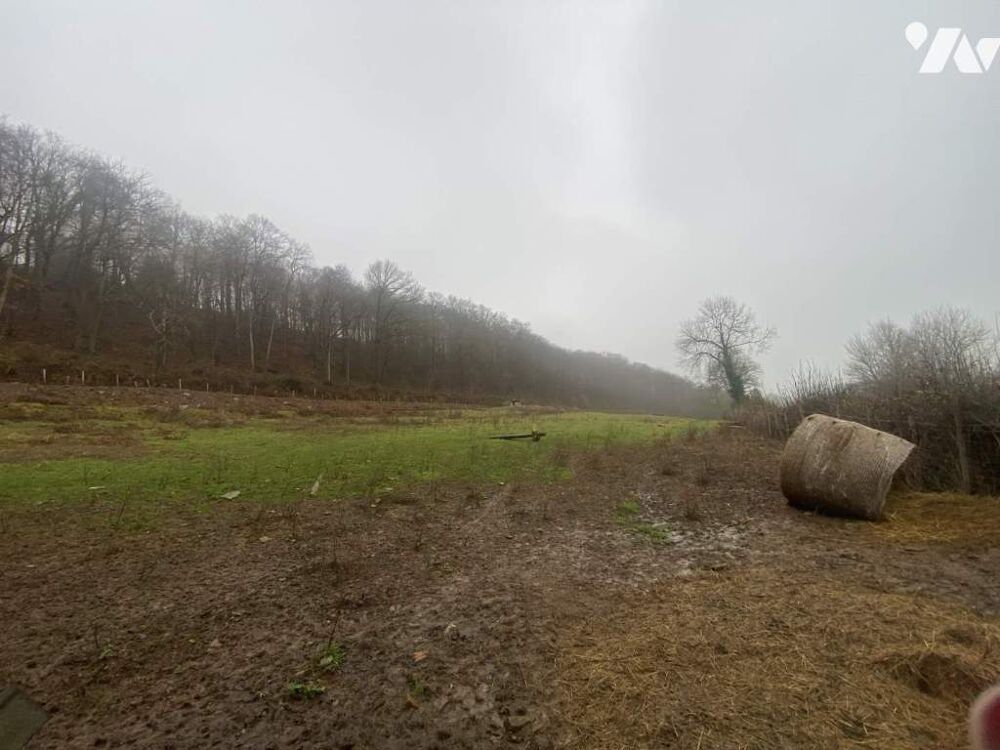 Vente Terrain Terrain agricole Gavray-sur-sienne