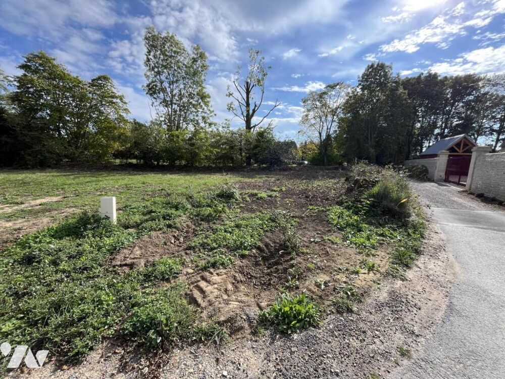 Vente Terrain SAINTE CROIX GRAND TONNE Thue et mue