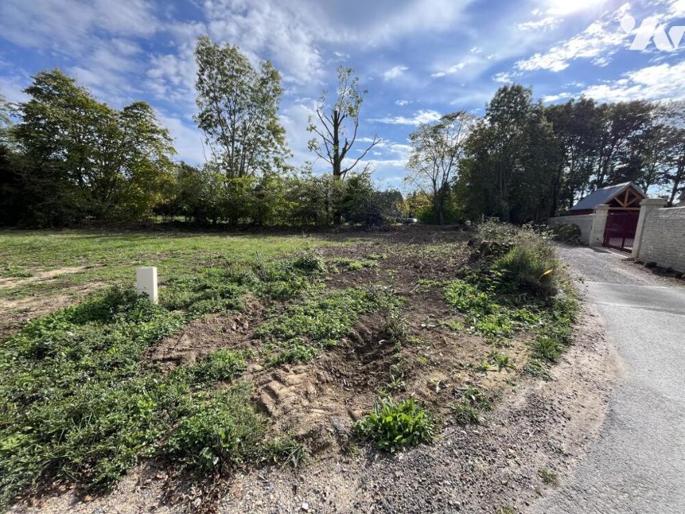 Vente Terrain SAINTE CROIX GRAND TONNE Thue et mue