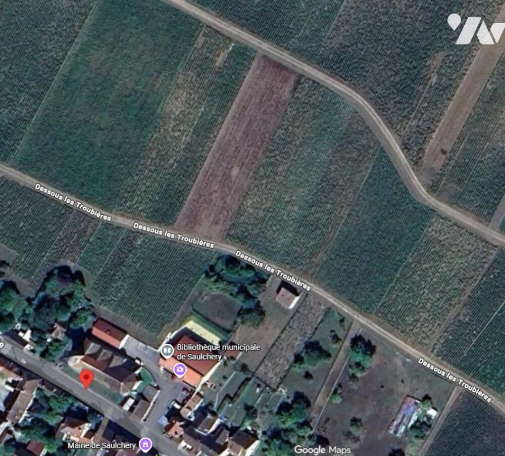 Vente Terrain Parcelle de vigne défrichée, libre. 2 380 m². AOC « Champagne » et « Coteaux Champenois » Saulchery