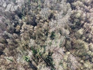  Terrain � vendre 27885 m� Lumbres