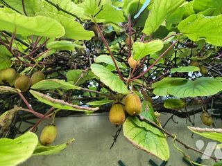  Maison � vendre 6 pi�ces 106 m�