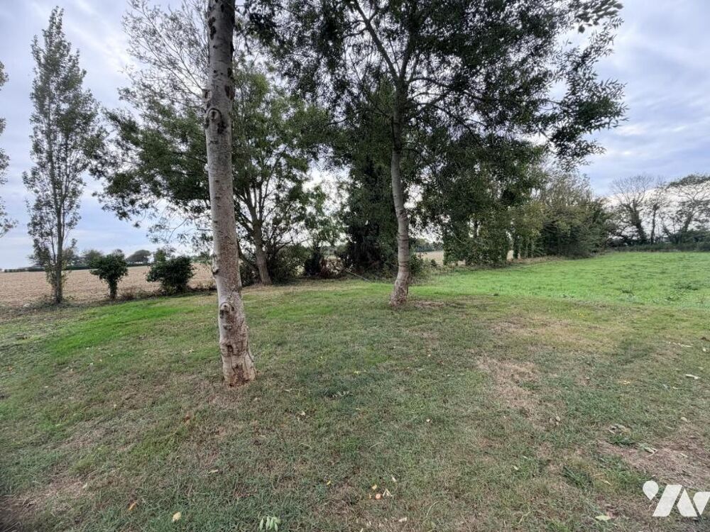 Vente Maison Maison de plain-pied Port-en-bessin-huppain