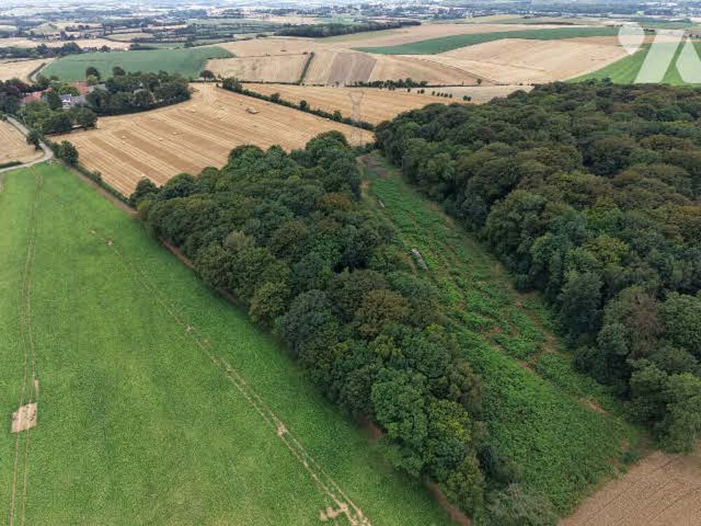 Vente Terrain À VENDRE – Ensemble de deux parcelles boisées à Hermelinghen Hermelinghen