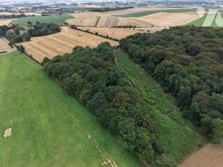 Vente Terrain À VENDRE – Ensemble de deux parcelles boisées à Hermelinghen Hermelinghen