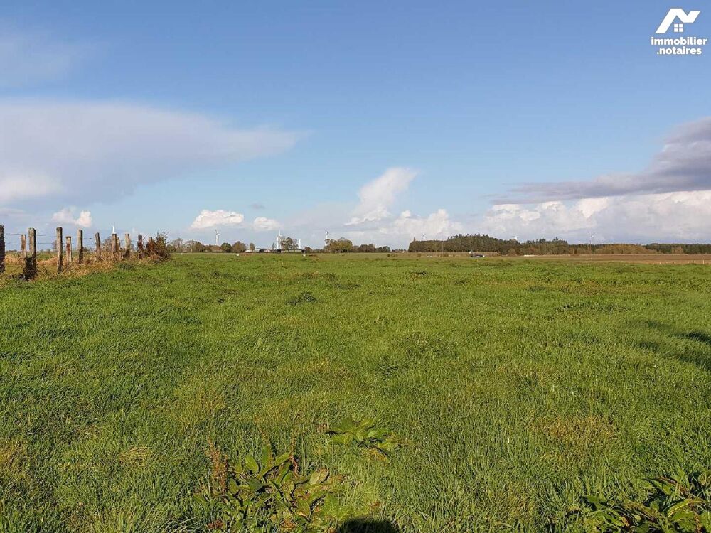 Vente Terrain PAYS DE BRAY, CALLENGEVILLE TERRAIN A BATIR, Surface cadastrale : 1 262m² Une parcelle de ter... Callengeville