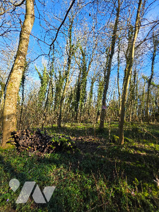  Terrain � vendre 27885 m� Lumbres