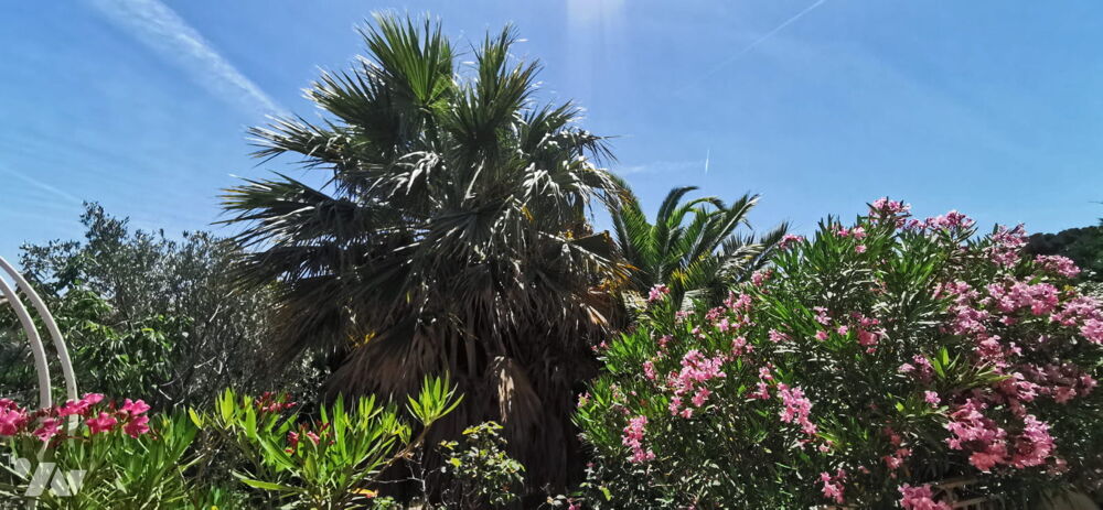 Vente Maison MAISON AVEC JARDIN CARRY LE ROUET 13620 Carry-le-rouet