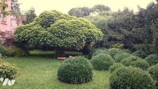  Maison � vendre 10 pi�ces 230 m�