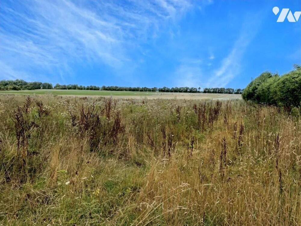 Vente Terrain LASSON - Neufs Mers Rots